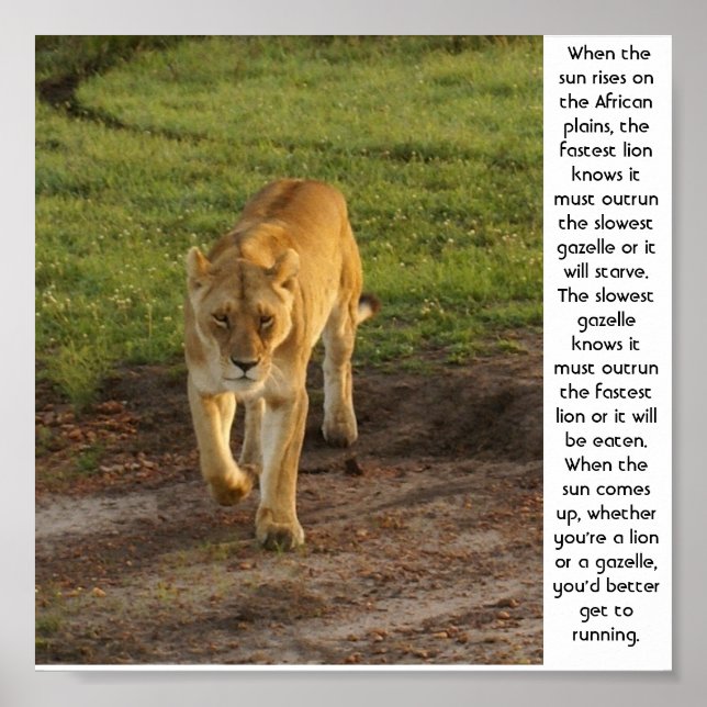 Lioness at Masai Mara Inspiration Poster (Devant)