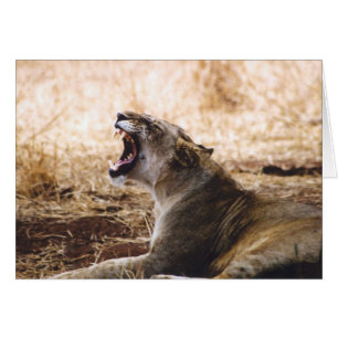 Lionne