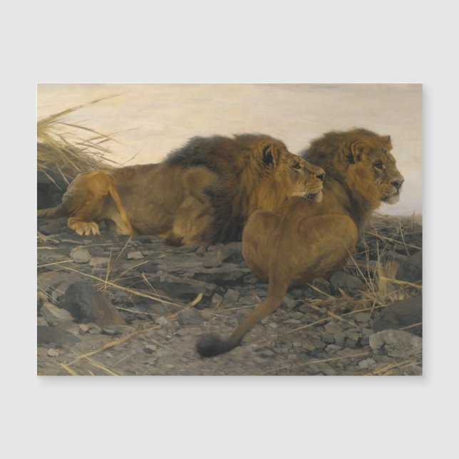 Lions à la veille par Wilhelm Kuhnert (Devant)