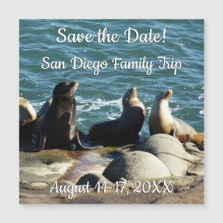Lions de la mer de San Diego