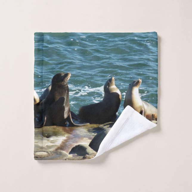 Lions de la mer de San Diego (Gant de toilette)