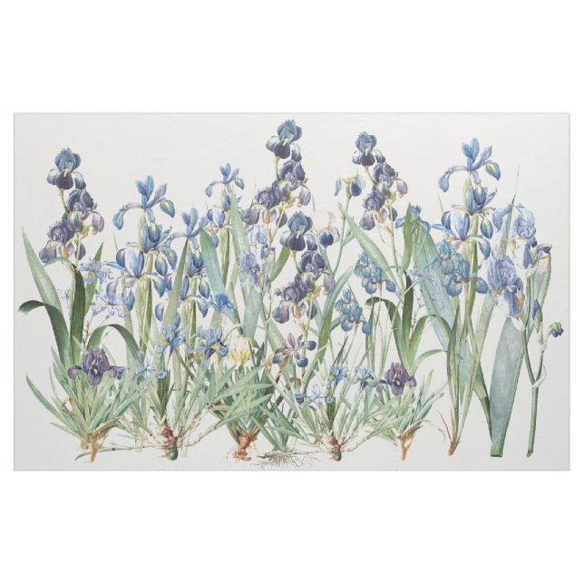L'iris botanique fleurit le tissu floral de (Yard)