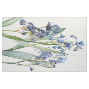 L'iris botanique fleurit le tissu floral de