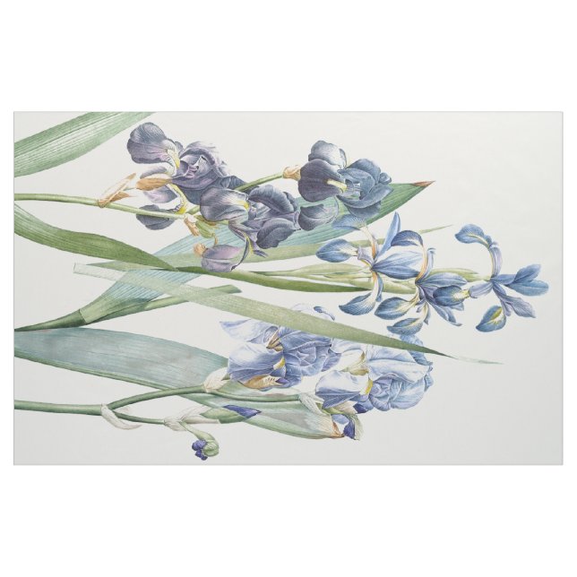 L'iris botanique fleurit le tissu floral de (Yard)