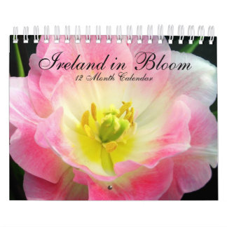 L'Irlande dans le calendrier de fleur