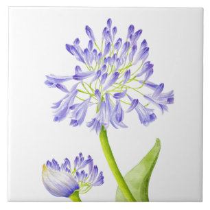 Lis du Nil sur un carreau de céramique