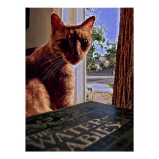 Lisez Mon Esprit, Poster De Chat