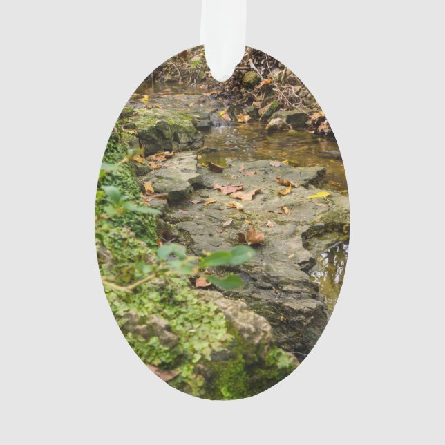 Lit de roche North Wears Creek (dos)