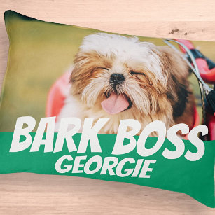 Lit Pour Animaux Barre Boss Animal Chien Photo Cool moderne Simple