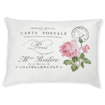 Chic parisien, d'inspiration française, enchanteur