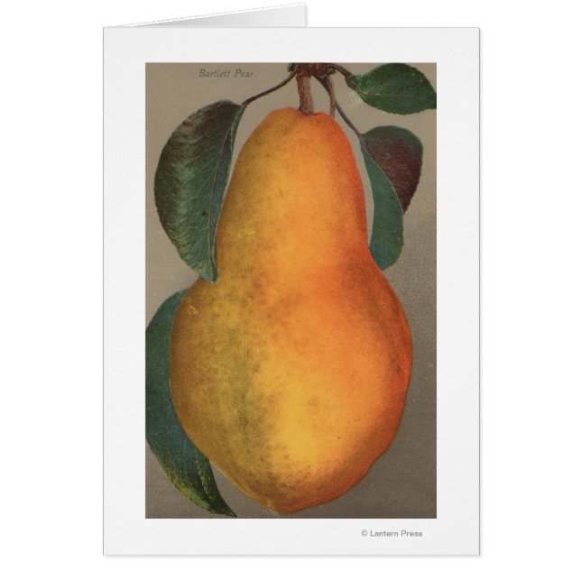 Lithographie de chromo de fruits de Bartlett Pear (Devant)