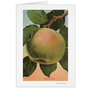 Lithographie de chromo de fruits de Newtown Pippen