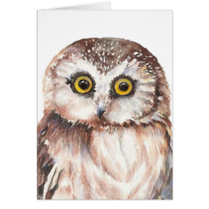 Little Owl, Blank - Watercolor Bird Collection
