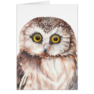 Little Owl, Blank - Watercolor Bird Collection