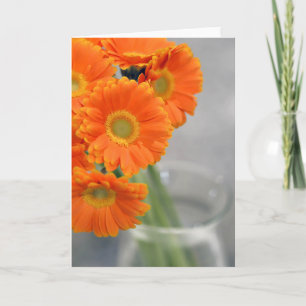 Little Philly   Orange Daisy Photography Carte vie