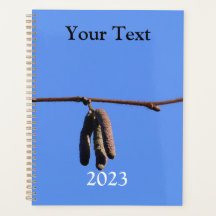 Little Twig on Blue Sky