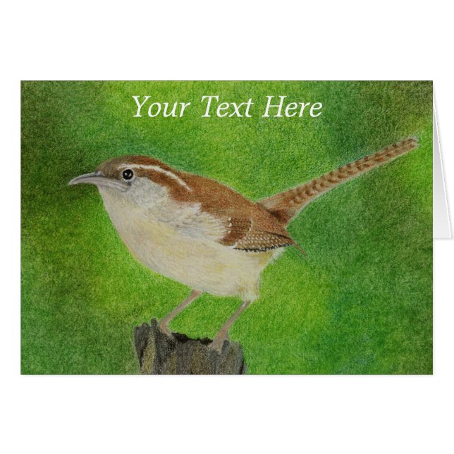Little Wren (Devant horizontal)