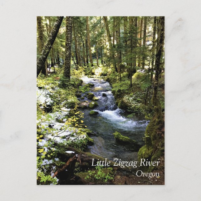 Little Zigzag River, Oregon Carte postale (Devant)
