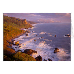 Littoral des séquoias, Californie