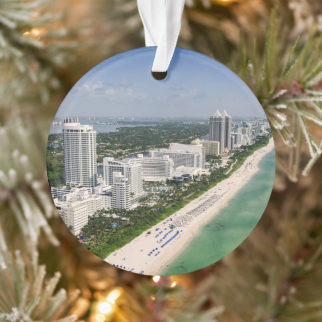Littoral | Urban Beach, Miami, Floride (Arbre)