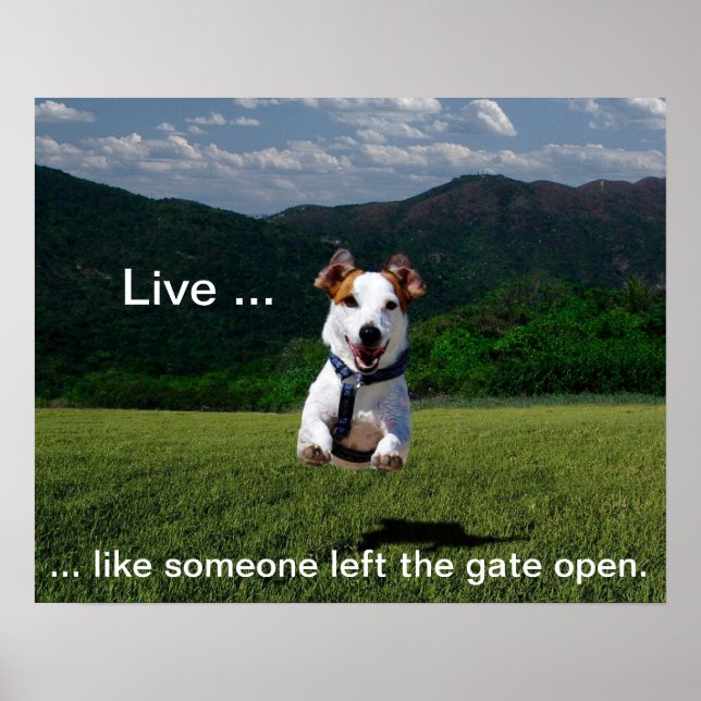Live Like One Left Gate Open Poster (Devant)