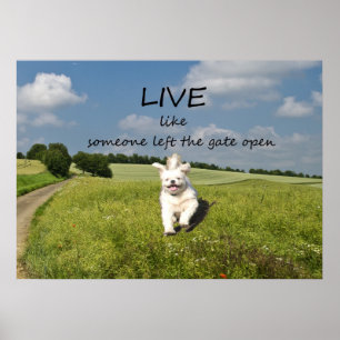 Live Like One Left Gate Open Poster