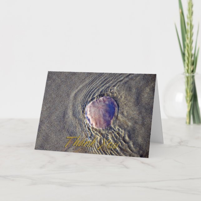 Live Sand Dollar Carte de remerciements photo (Devant)