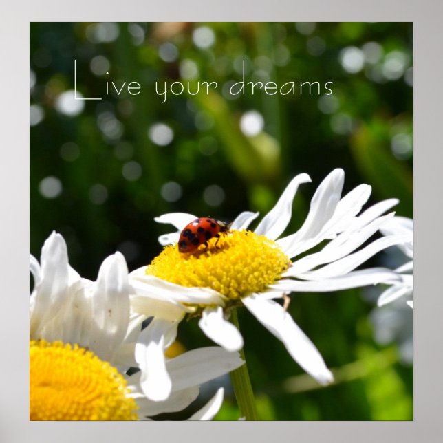Live your Dreams Ladybug and Daisy Poster (Devant)