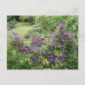 Living Fence ~ carte postale