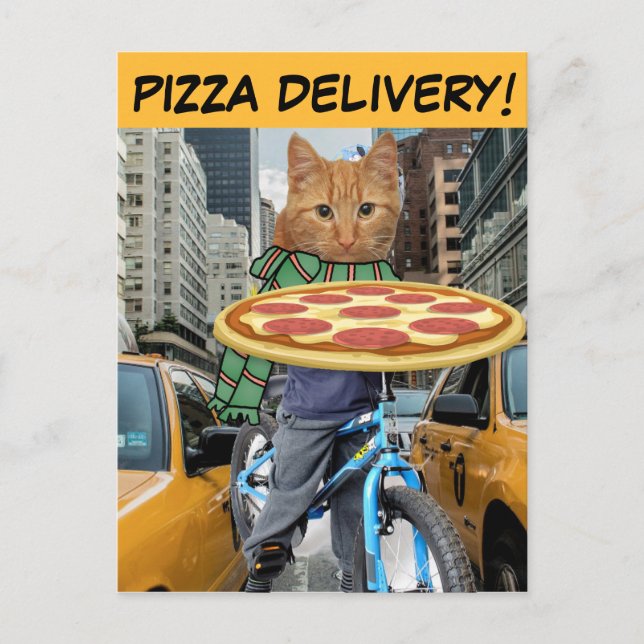 LIVRAISON DE PIZZA ! CARTES POSTALES CAT (Devant)
