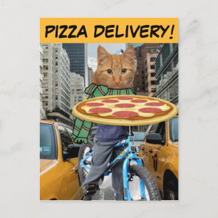 LIVRAISON DE PIZZA ! CARTES POSTALES CAT