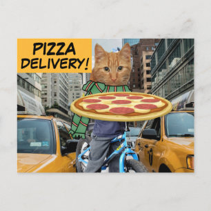 LIVRAISON DE PIZZA ! CARTES POSTALES DE CHAT