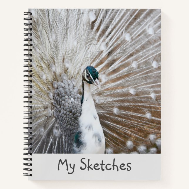 Livre blanc Peacock (Devant)