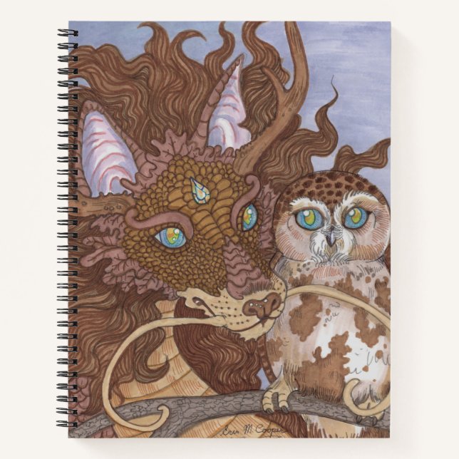Livre de croquis de Bright Eyes Owl et Dragon (Devant)