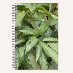 Livre de croquis plante Spiral
