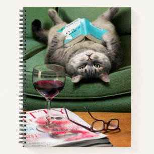 Livre de lecture de chats en haut