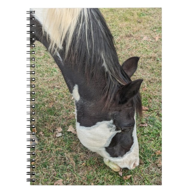 Livre de notes de cheval (Devant)
