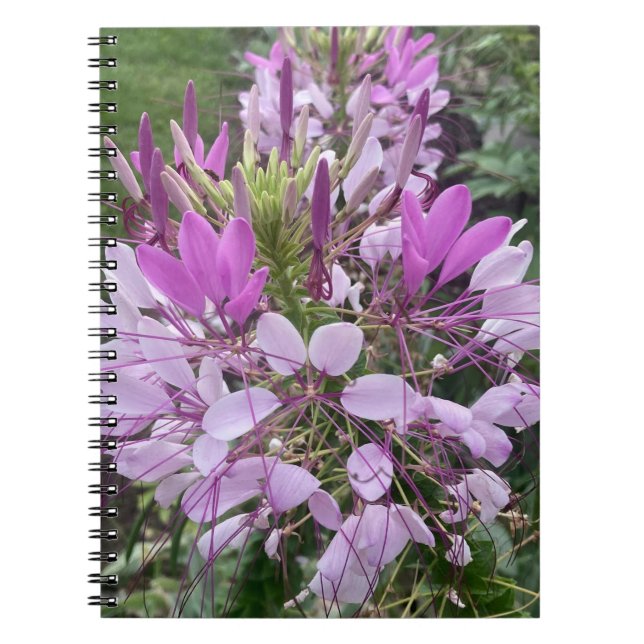 Livre de notes de fleurs violettes (Devant)