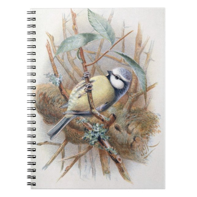 Livre de notes Eurasian Blue Bird (Devant)