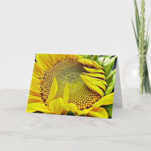 Livre de tournesol Carte de note Psaume 84:11