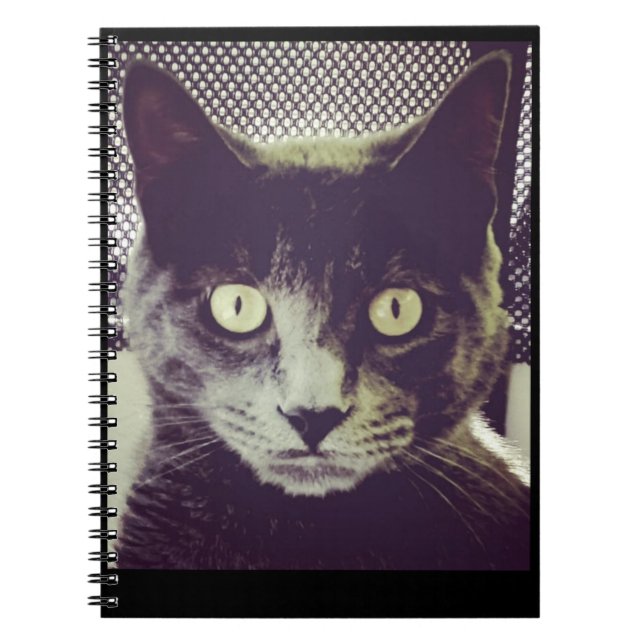 Livre des notes de pliage (Devant)