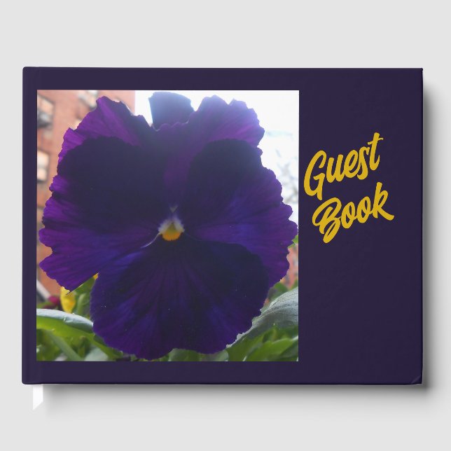 Livre d'hôtes Sibylla (Recto)