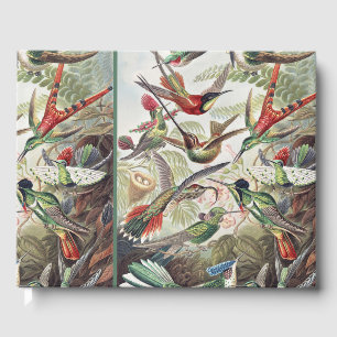 Livre D'or Affiche vintage colorée d'Ernst Haeckel sur les co
