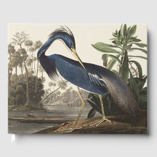 Livre D'or Aigrette de Louisiane, Art de l'oiseau Audubon vin
