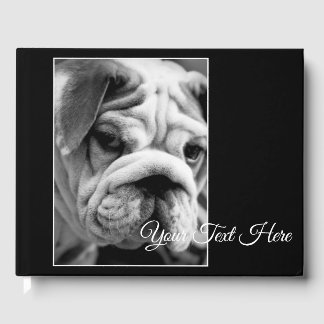 Livre D'or Apparences sales