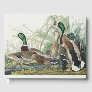 Livre D'or Art animalier vintage d'Audubon représentant un ca