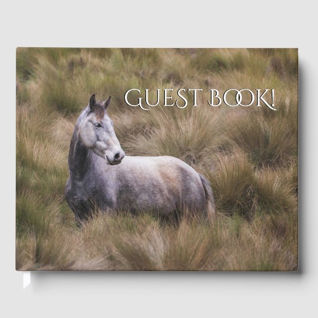 Livre D'or Beau Cheval gris coloré (Recto)