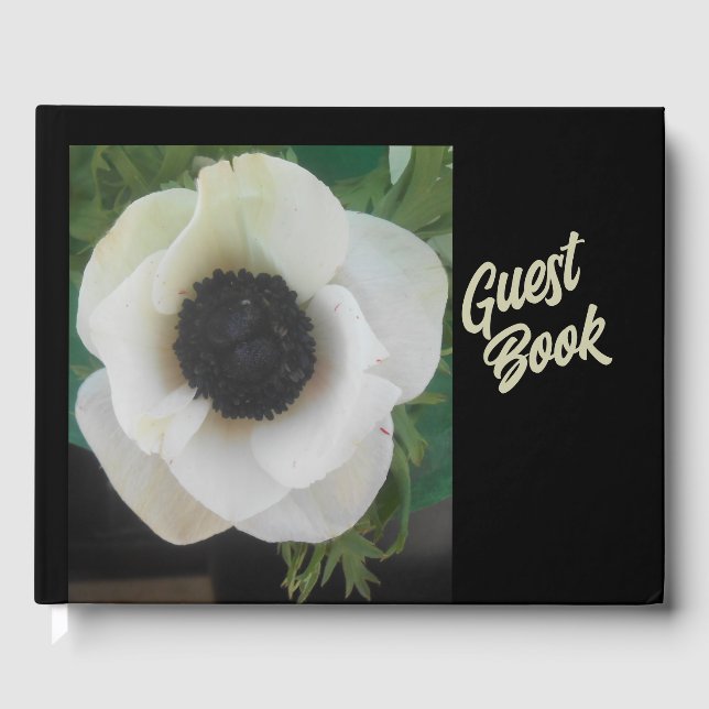 Livre D'or Blanchard (Recto)