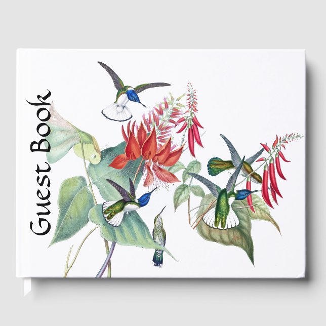 Livre D'or Blue Hummingbird Birds Red Floral Guest Book (Recto)