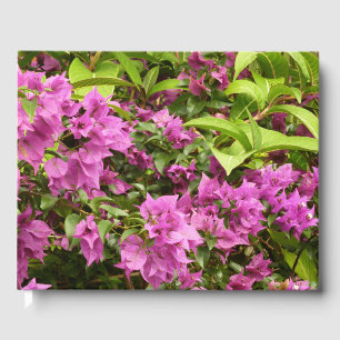 Livre D'or Bougainvillées tropicales violettes